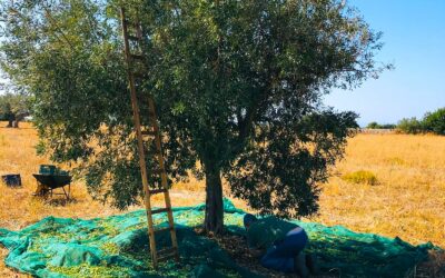 Viajar a Sicilia en Octubre